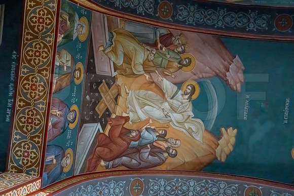 DSC03204