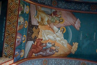 DSC03204