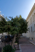 DSC03430