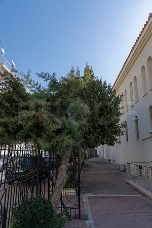 DSC03430