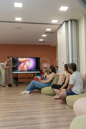 1531